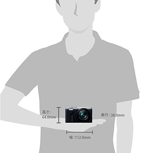 Panasonic Digital Camera Lumix TZ85 30X 18.1 MP f/3.3 Zoom